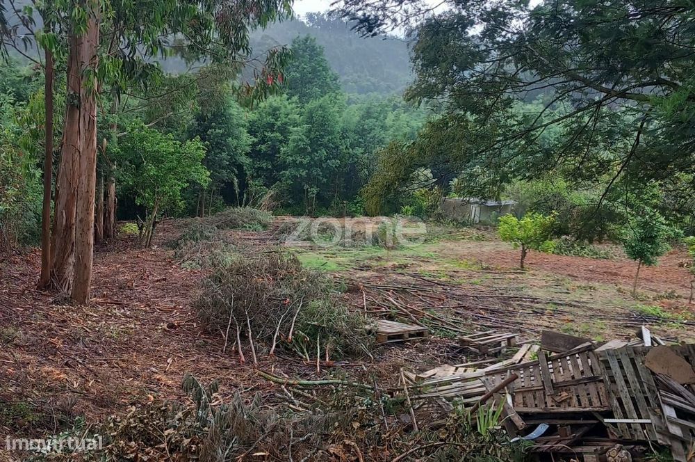 Terreno, Luso