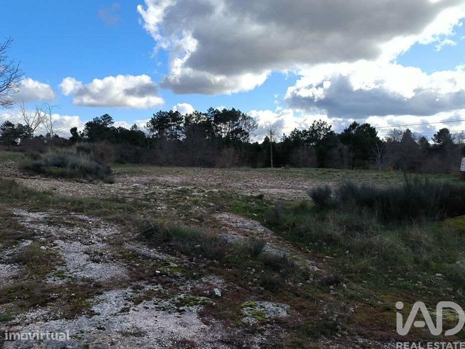 Quinta T5 em João Antão de 228,00 m2