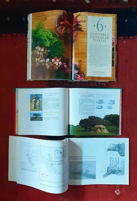 Livros - Romances e Outros Temas