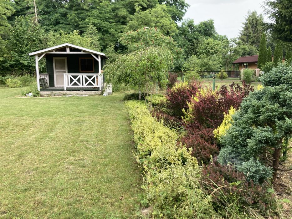 Działka ROD, ogródek działkowy Bronowice