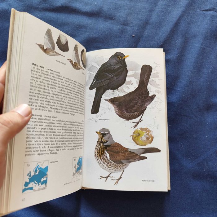 Lars Jonsson - Os Pássaros: Bosques, Parques e Jardins