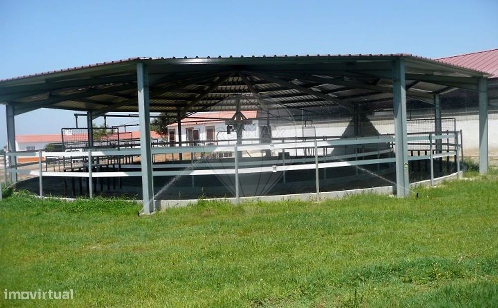 Quinta T9 para venda