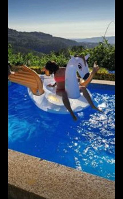 Bóia Pegasus piscina