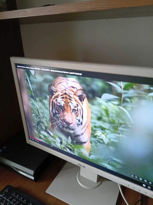 Монитор ASUS BE24AQC