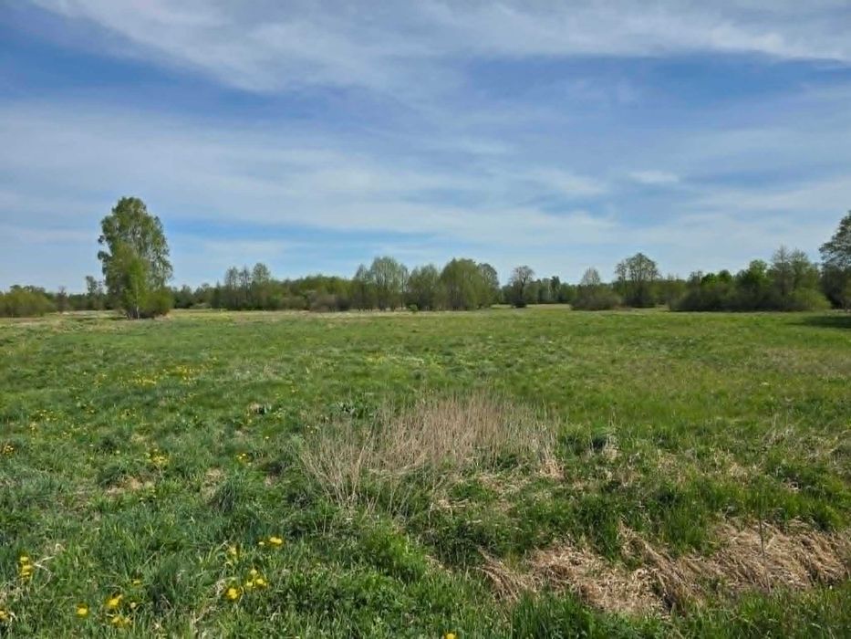 Działka z WZ 8500 m2