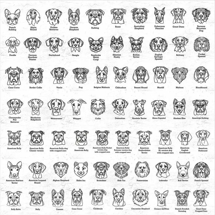 Identyfikator dla kota, aluminiowa grawerowana, srebrna 50x30mm