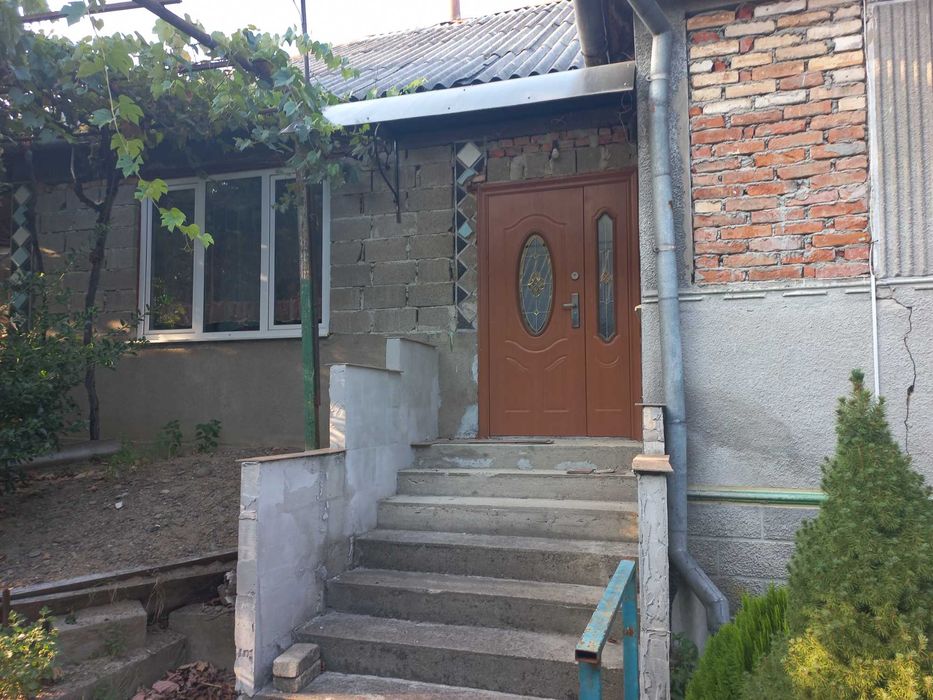 Будинок в селі з меблями та літньою кухнею