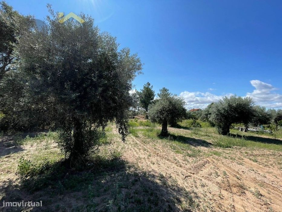 Terreno de 4000m² à Venda em Freixial do Campo