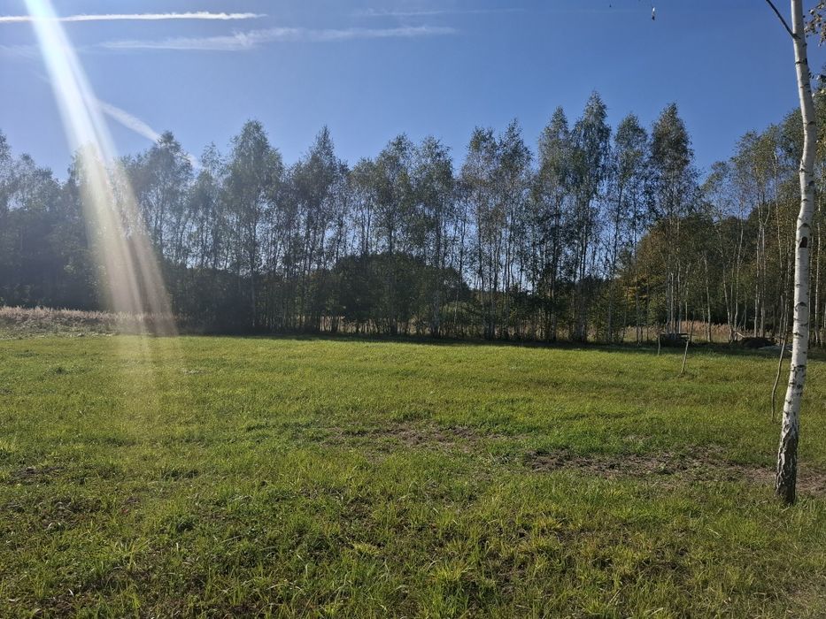 Działka Budowlana 20 minut od centrum Kielc - Widok 3