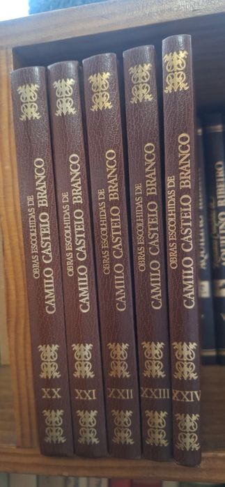 Livros Camilo Castelo Branco (24 Volumes)

Círculo de Lei