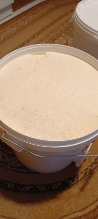 Miód rzepakowy w wiadrach