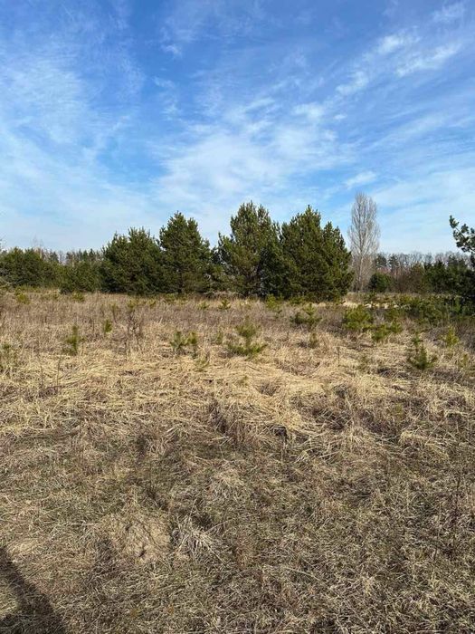 Продаж землі в Борисполі комерційного призначення