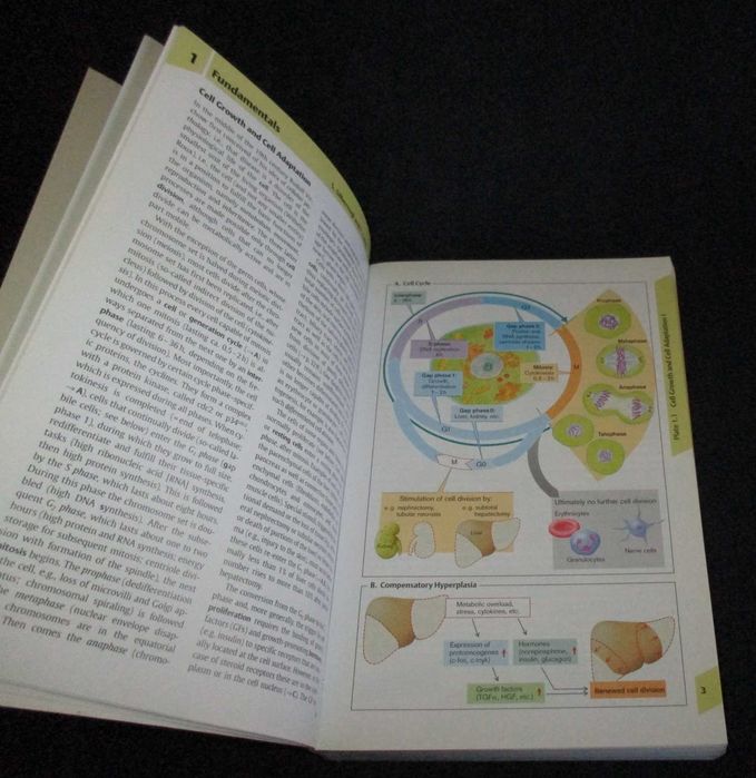 Livro Color Atlas of Pathophysiology Stefan Silbernagl