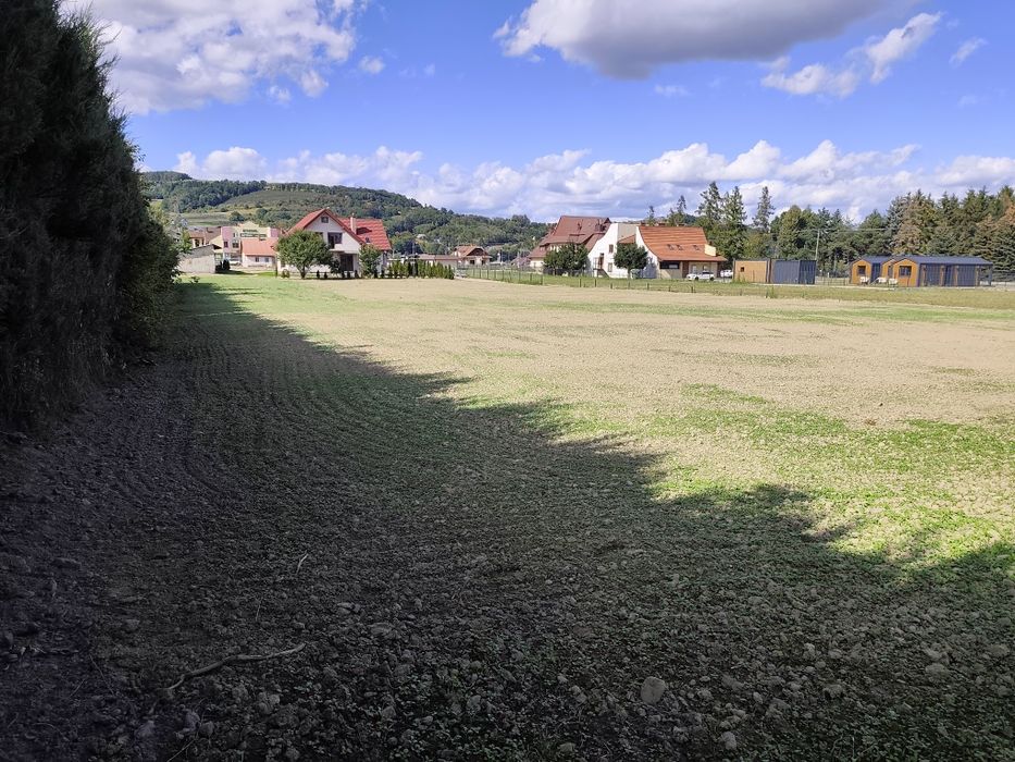 Zdjęcie 4