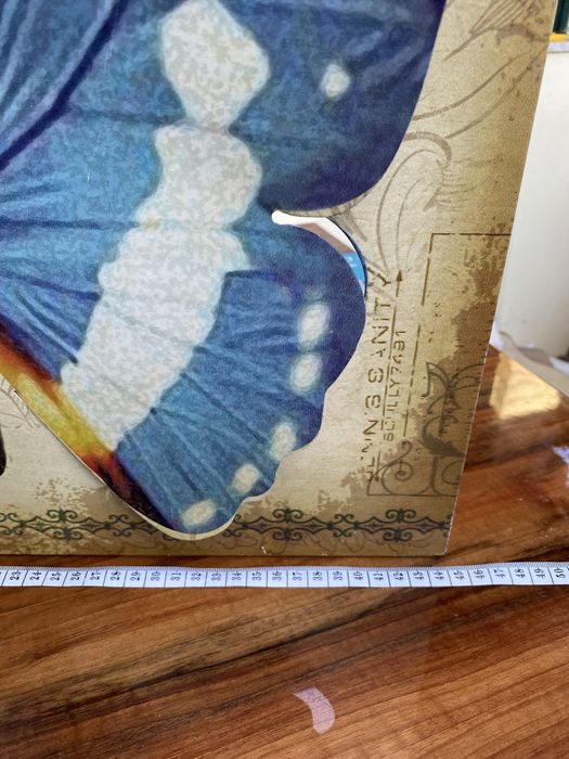 Quadro borboleta 3D