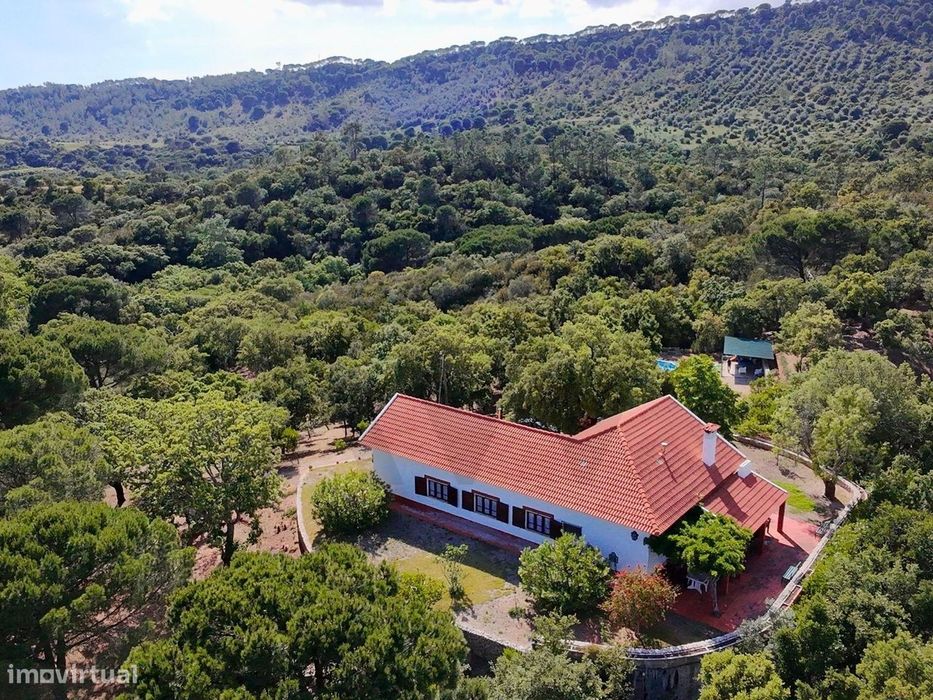Quinta isolada de 4.2 ha, em Palmela, com moradia T4, piscina e vistas