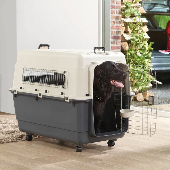 Savic Transporter dla Psa z Kółkami Feria Andes 4 51x67x44cm do 20kg N