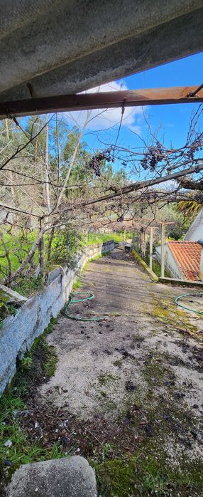 Vende-se casa, Cousso Melgaço