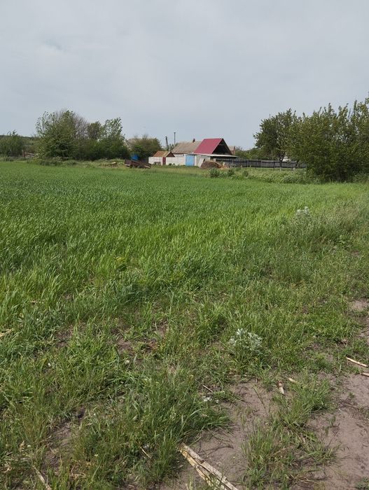 Продам участок Нововодолажский район  под застройку или модульный дом