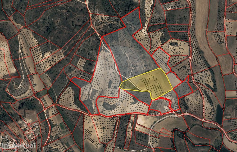 Terreno  para venda — Torres Novas (São Pedro), Lapas E Ribeira Branca, Santarém