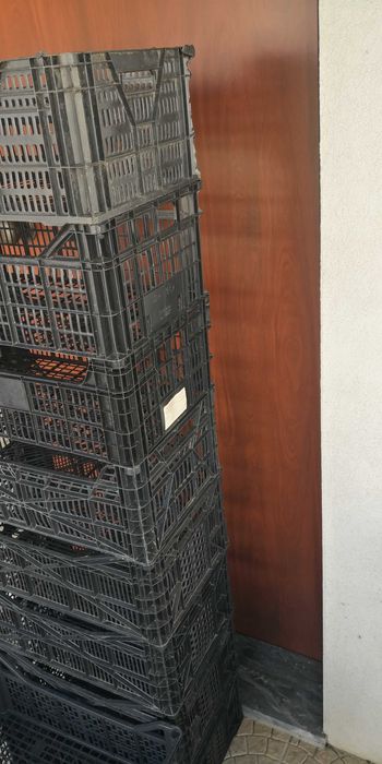 10 caixotes 50 cm X 30 cm X 19 cm