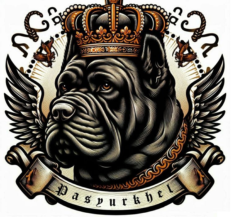 Щенки Кане Корсо с официального питомника "pasyurkhel"