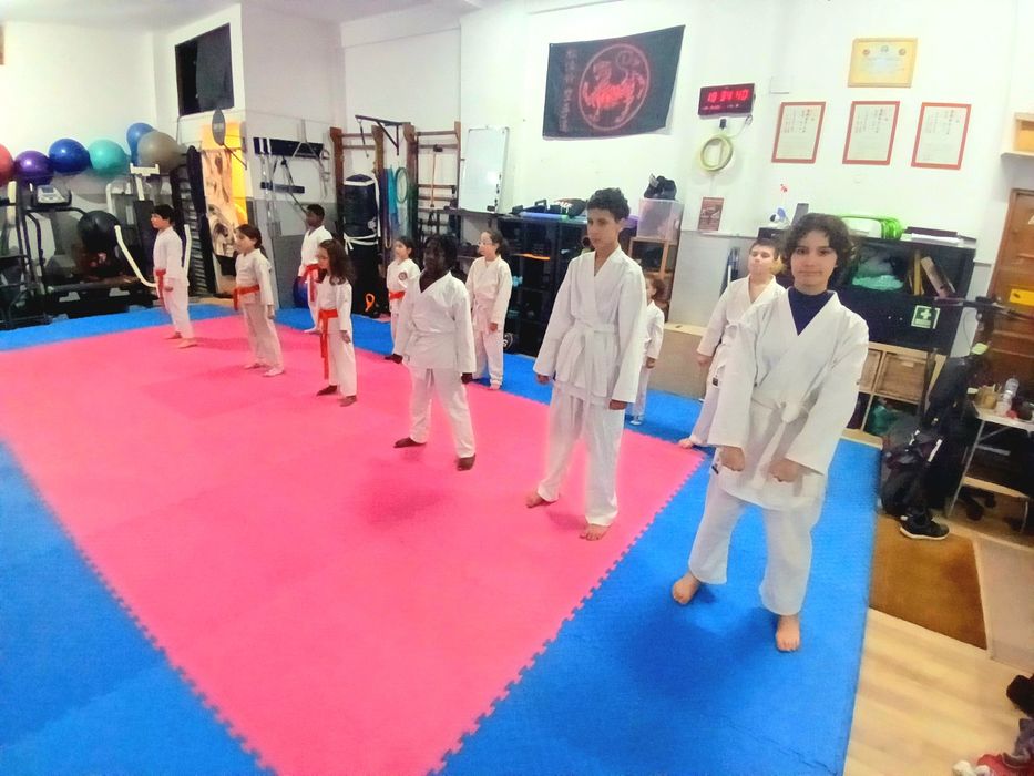 Venha praticar Karaté da JKA no ELITEBOX
