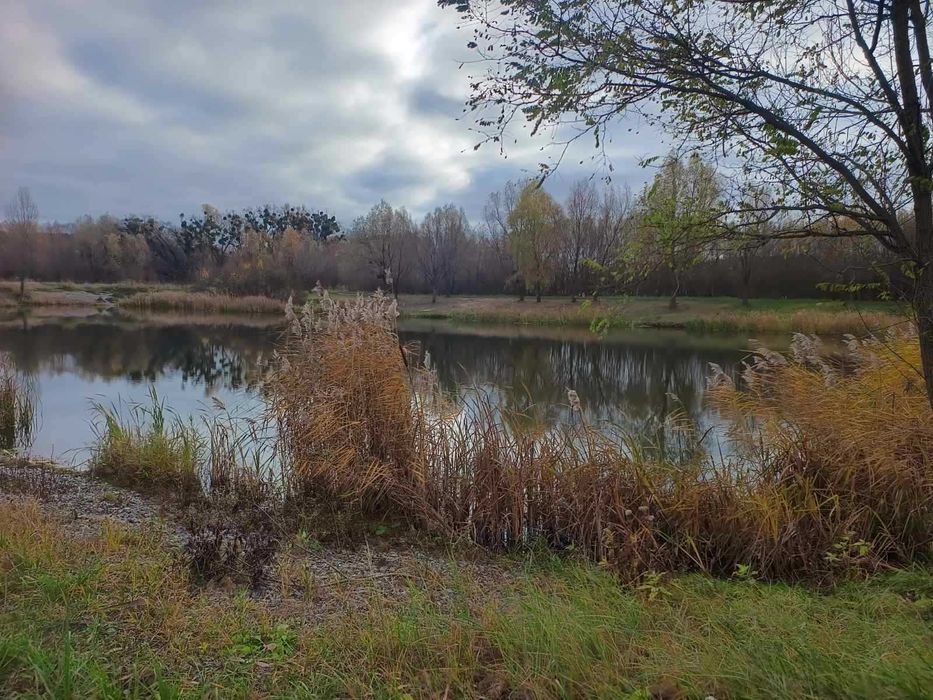 Продається велика земельна ділянка в с.Велика Солтанівка