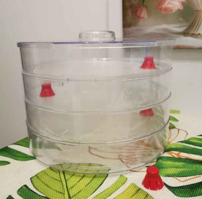 Kiełkownica 3 poziomy, plus kiełki