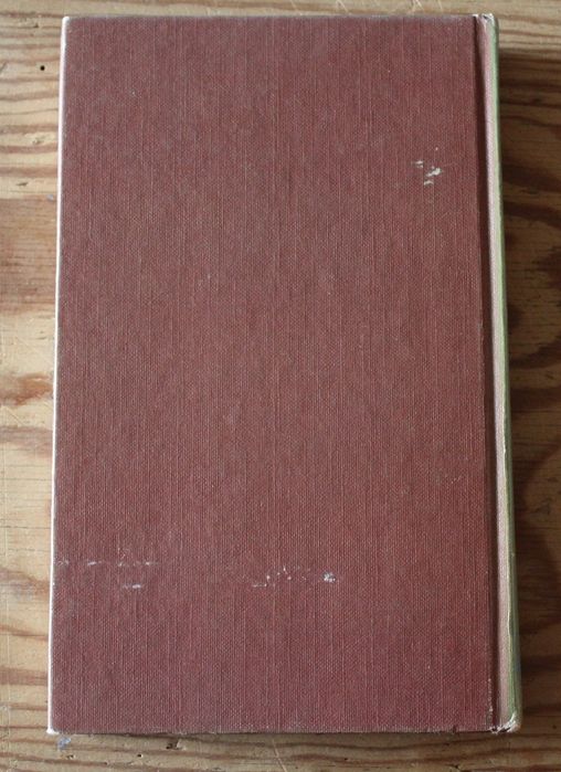 Livro "Três Rios", de Roberta Latow