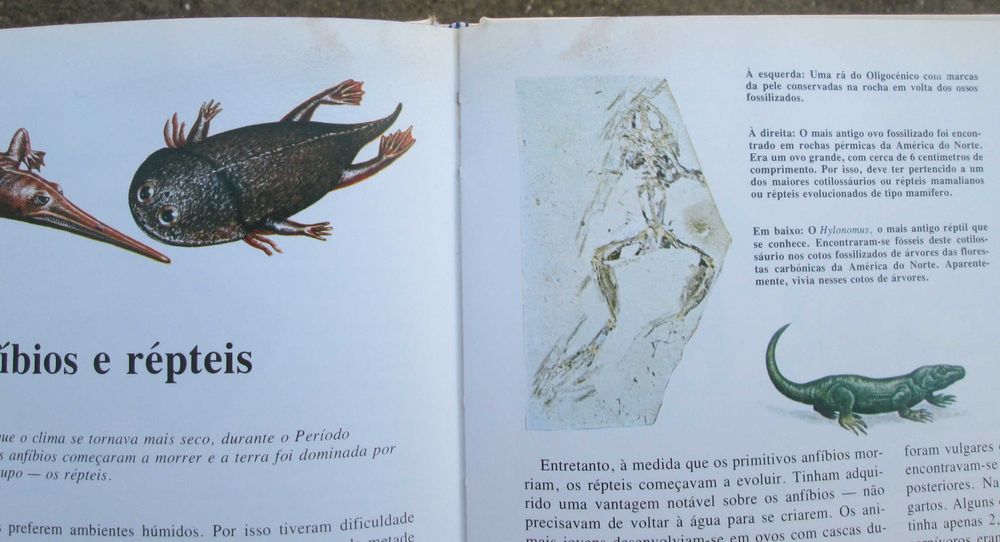 Enciclopédia Juvenil Ilustrada, Pré-História (1980)