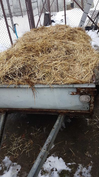 Obornik do ogródka, pod warzywa