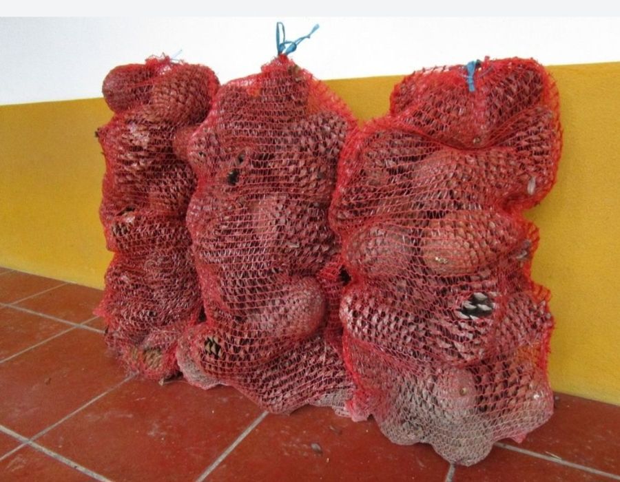 Pinhas para lareira