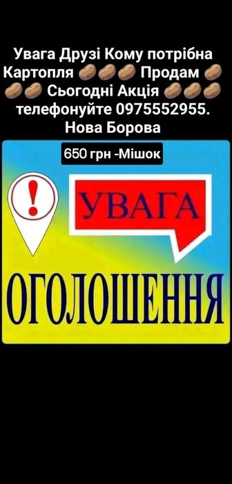 Продам картоплю велику 0975552955