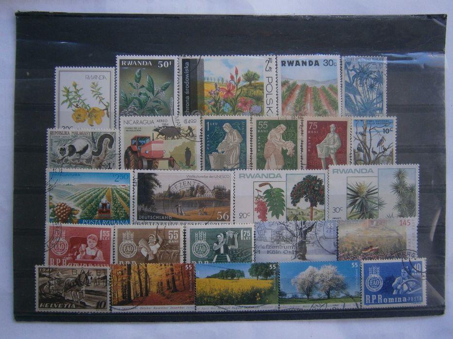 25 selos do tema Fauna todos diferentes