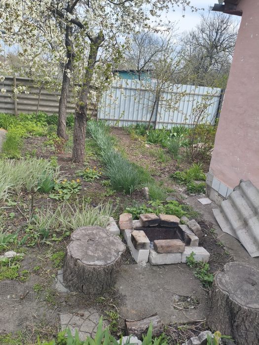 Шашлик Барбекю Отдых Відпочинок Беседка Альтанка