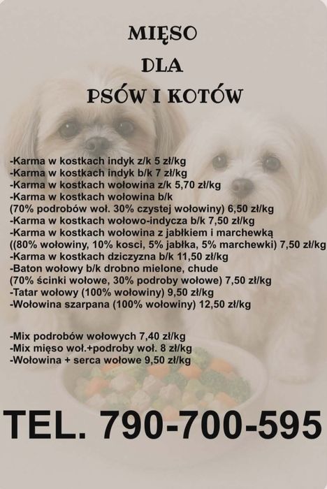 Mięso dla psa psów i kotów