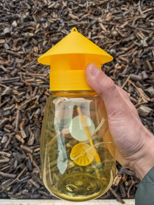 Armadilha para a Mosca da Fruta