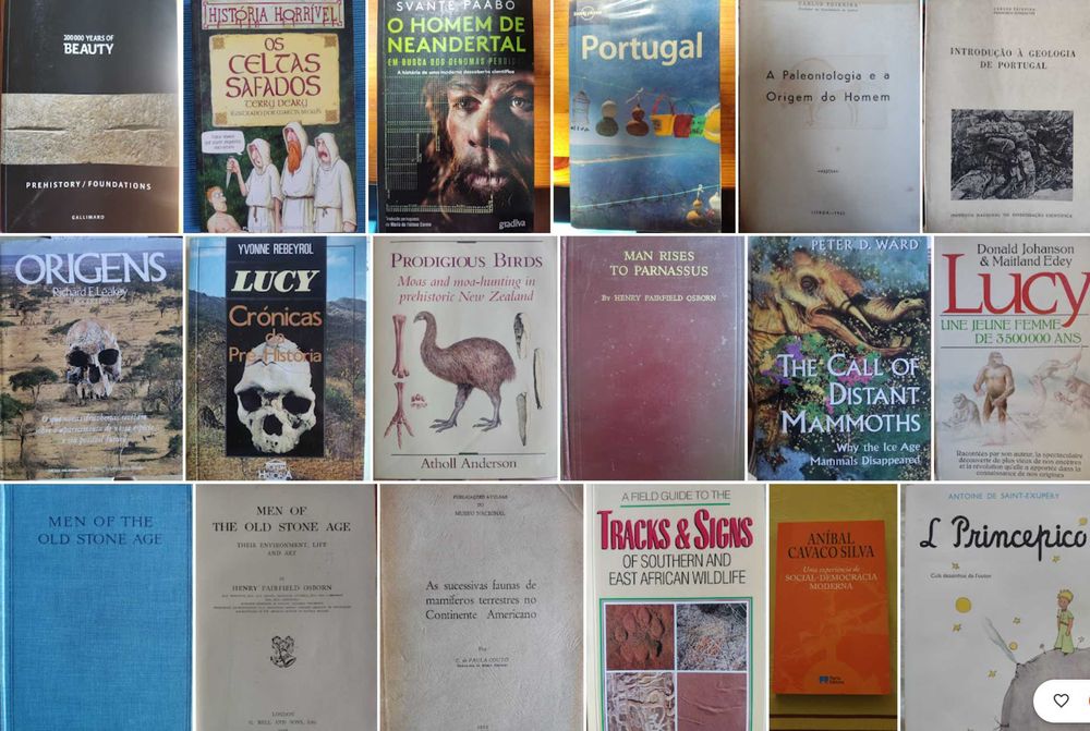 Livros vários (história, pré-história, paleontologia, técnicos)