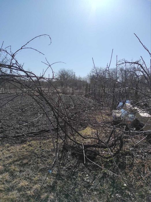 Продам дачу Нова Павлівка