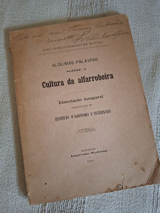 A cultura da Alfarrobeira livro de 1900