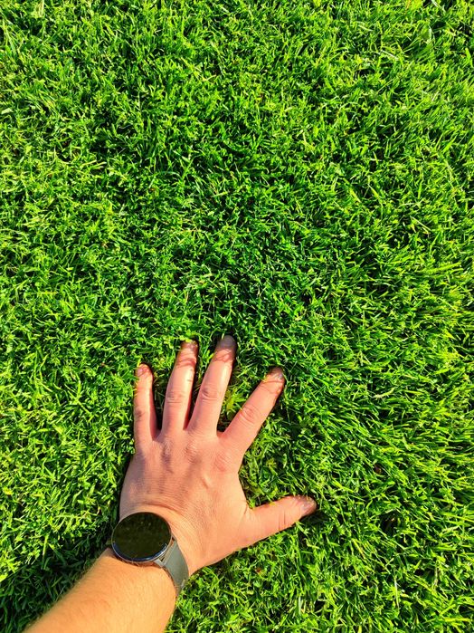 Zakładanie i pielęgnacja trawników