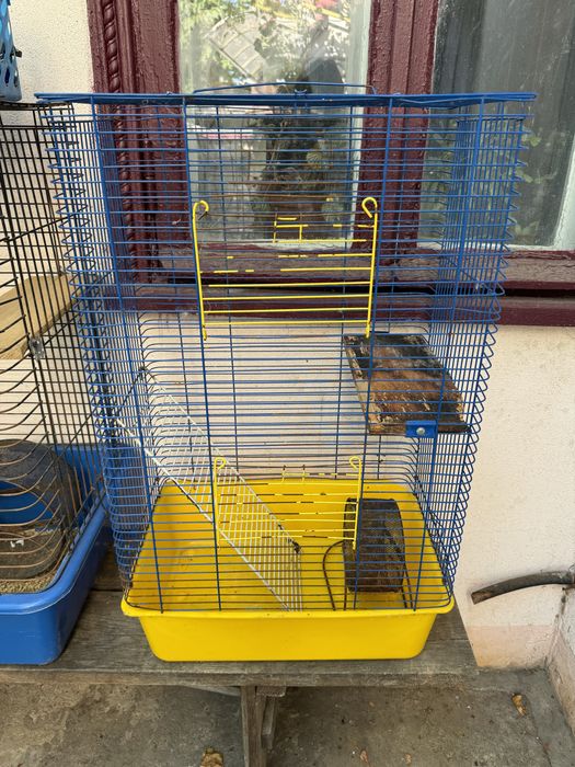 Кролики с клетками