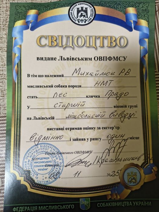 В'язка, вязка ягдтер'єр,ягдтерьер,яг