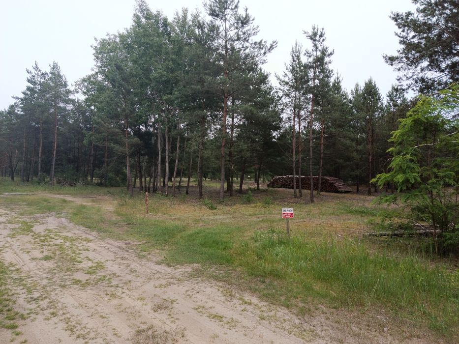 Działka w Puszczy Noteckiej - 1223 m², m. Klempicz - Widok 4