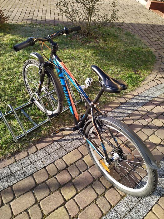 Rower Kellys/Alpina Eco M10