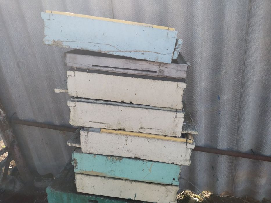 Днища ппс лисонь бартнік бу