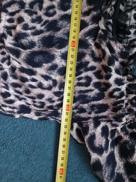 Top topik panterka wiązany