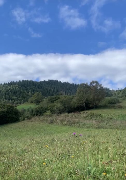 Продаж земельної ділянки під забудову с.Пшонець (Славське)