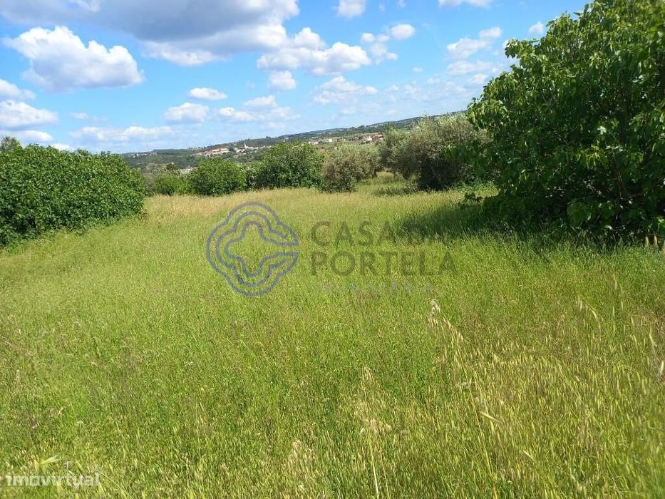 Terreno com projeto próximo de Tomar no Centro de Portugal